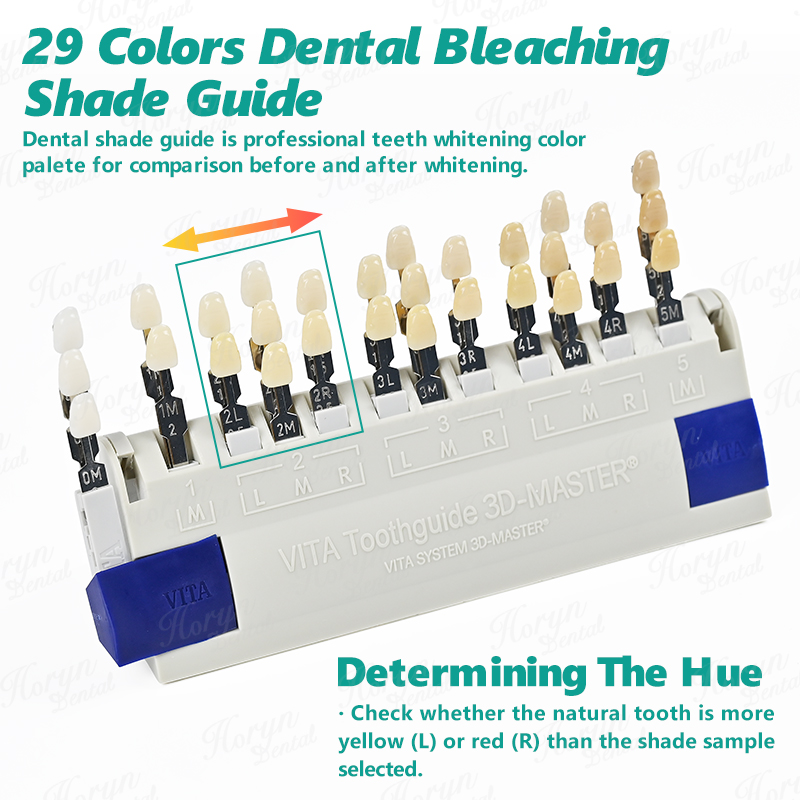 แผ่นสี Vita 3D Master Dental L - Teeth Whitening For Trays บทวิจารณ์และราคา